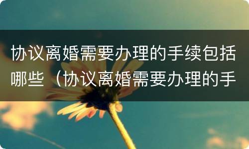 协议离婚需要办理的手续包括哪些（协议离婚需要办理的手续包括哪些内容）