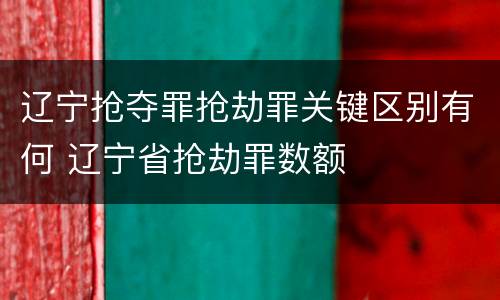 辽宁抢夺罪抢劫罪关键区别有何 辽宁省抢劫罪数额