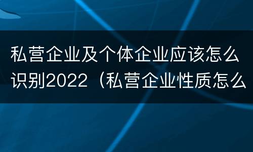 私营企业及个体企业应该怎么识别2022（私营企业性质怎么认定）