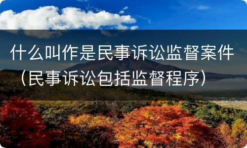 什么叫作是民事诉讼监督案件（民事诉讼包括监督程序）