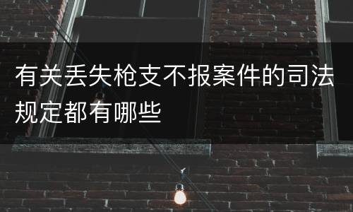 有关丢失枪支不报案件的司法规定都有哪些