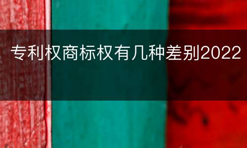 专利权商标权有几种差别2022