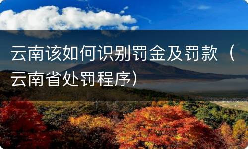 云南该如何识别罚金及罚款（云南省处罚程序）