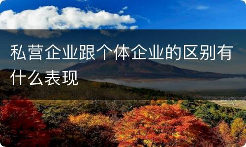 私营企业跟个体企业的区别有什么表现