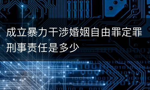 成立暴力干涉婚姻自由罪定罪刑事责任是多少