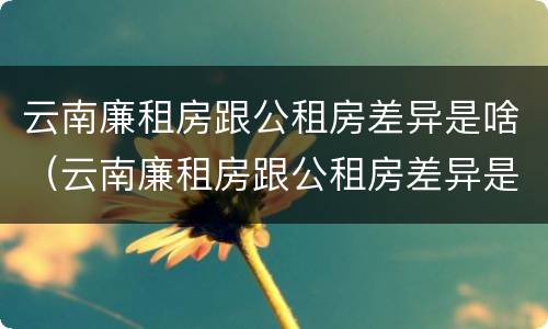 云南廉租房跟公租房差异是啥（云南廉租房跟公租房差异是啥原因）