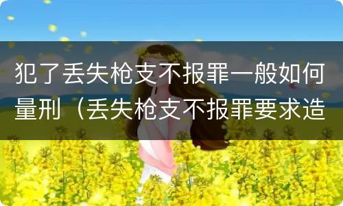 犯了丢失枪支不报罪一般如何量刑（丢失枪支不报罪要求造成了严重后果的才构成犯罪）
