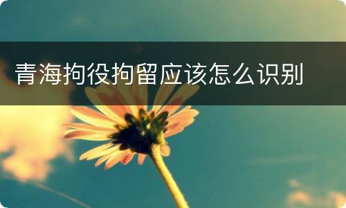 青海拘役拘留应该怎么识别