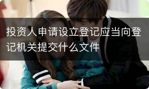 投资人申请设立登记应当向登记机关提交什么文件