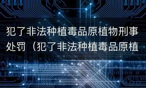 犯了非法种植毒品原植物刑事处罚（犯了非法种植毒品原植物刑事处罚标准）