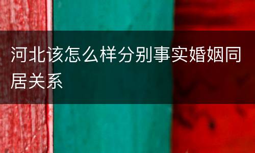 河北该怎么样分别事实婚姻同居关系
