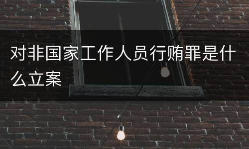 对非国家工作人员行贿罪是什么立案