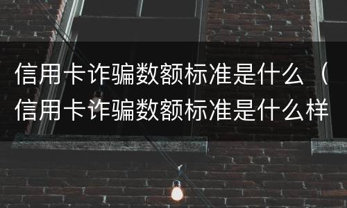 信用卡诈骗数额标准是什么（信用卡诈骗数额标准是什么样的）