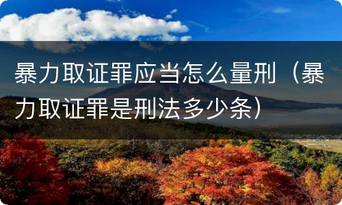 暴力取证罪应当怎么量刑（暴力取证罪是刑法多少条）