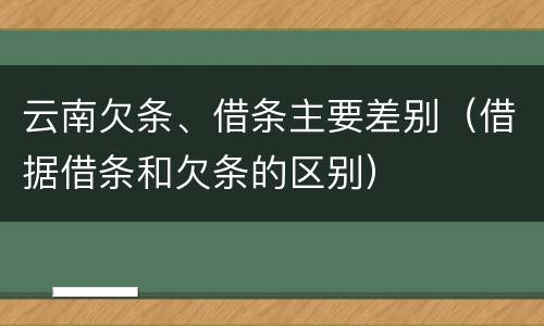 云南欠条、借条主要差别（借据借条和欠条的区别）