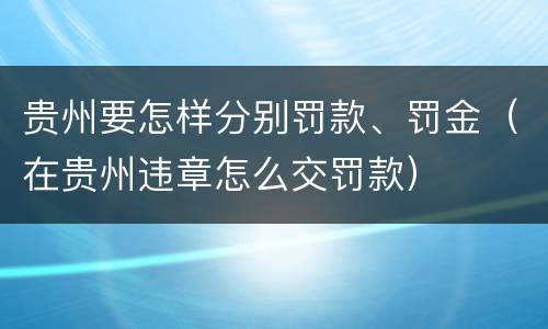 贵州要怎样分别罚款、罚金（在贵州违章怎么交罚款）