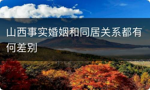 山西事实婚姻和同居关系都有何差别