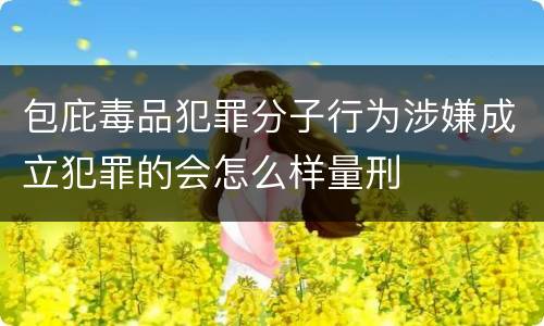 包庇毒品犯罪分子行为涉嫌成立犯罪的会怎么样量刑