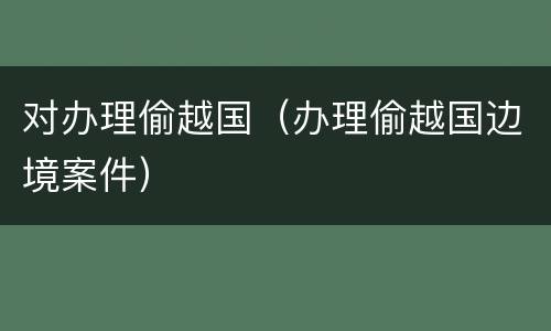 对办理偷越国（办理偷越国边境案件）