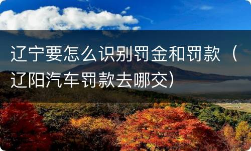 辽宁要怎么识别罚金和罚款（辽阳汽车罚款去哪交）