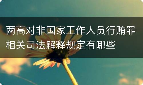 两高对非国家工作人员行贿罪相关司法解释规定有哪些