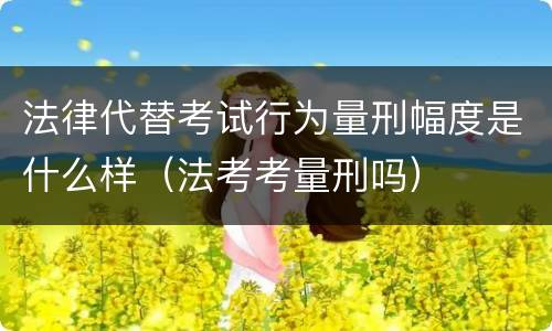 法律代替考试行为量刑幅度是什么样（法考考量刑吗）