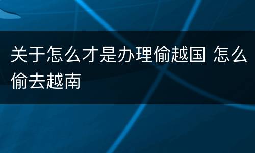 关于怎么才是办理偷越国 怎么偷去越南