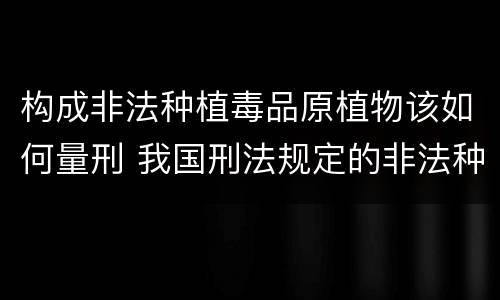 构成非法种植毒品原植物该如何量刑 我国刑法规定的非法种植毒品原植物罪