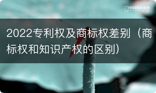 2022专利权及商标权差别（商标权和知识产权的区别）