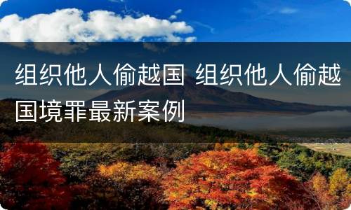 组织他人偷越国 组织他人偷越国境罪最新案例