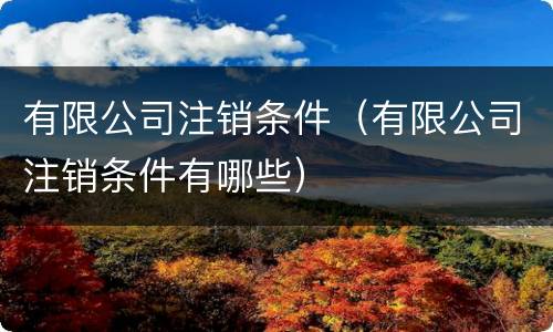 有限公司注销条件（有限公司注销条件有哪些）
