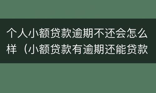 个人小额贷款逾期不还会怎么样（小额贷款有逾期还能贷款吗）