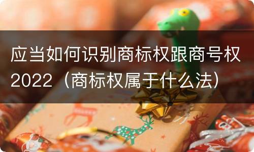 应当如何识别商标权跟商号权2022（商标权属于什么法）