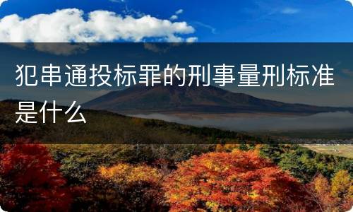 犯串通投标罪的刑事量刑标准是什么