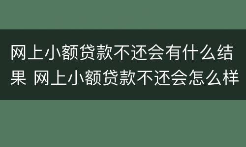网上小额贷款不还会有什么结果 网上小额贷款不还会怎么样