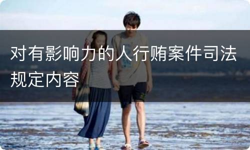 对有影响力的人行贿案件司法规定内容