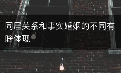 同居关系和事实婚姻的不同有啥体现