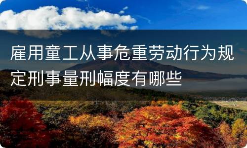 雇用童工从事危重劳动行为规定刑事量刑幅度有哪些