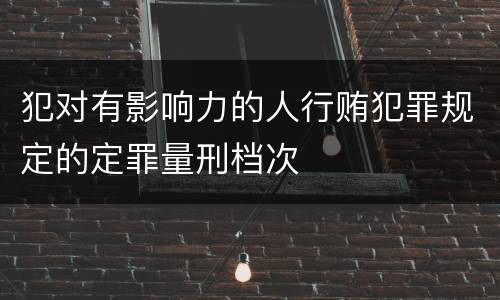 犯对有影响力的人行贿犯罪规定的定罪量刑档次