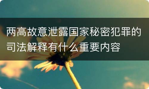 两高故意泄露国家秘密犯罪的司法解释有什么重要内容