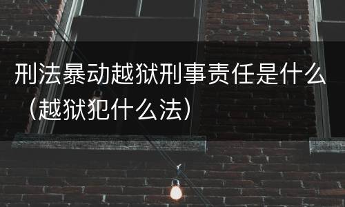刑法暴动越狱刑事责任是什么（越狱犯什么法）