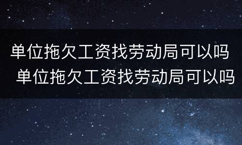 单位拖欠工资找劳动局可以吗 单位拖欠工资找劳动局可以吗怎么说