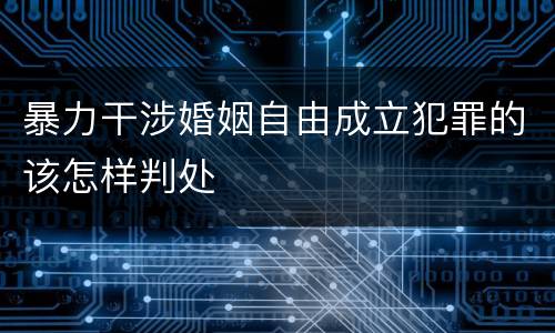 暴力干涉婚姻自由成立犯罪的该怎样判处