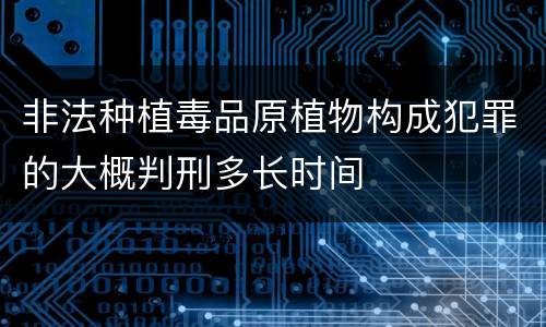 非法种植毒品原植物构成犯罪的大概判刑多长时间