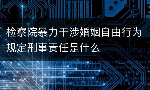 检察院暴力干涉婚姻自由行为规定刑事责任是什么