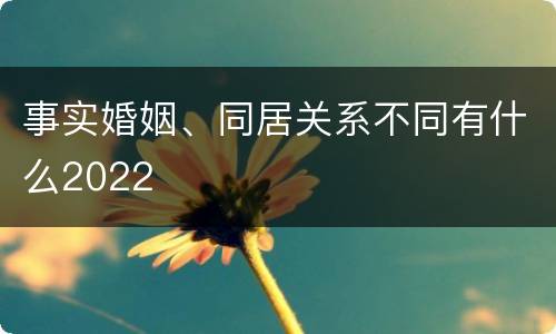 事实婚姻、同居关系不同有什么2022