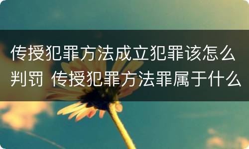 传授犯罪方法成立犯罪该怎么判罚 传授犯罪方法罪属于什么罪