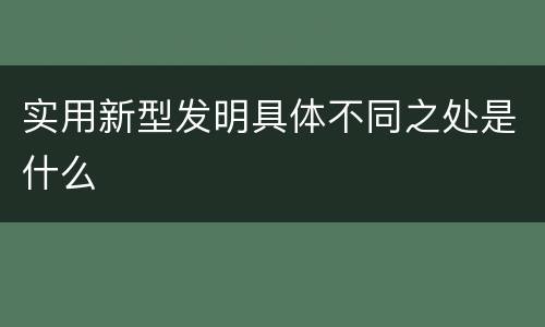 实用新型发明具体不同之处是什么