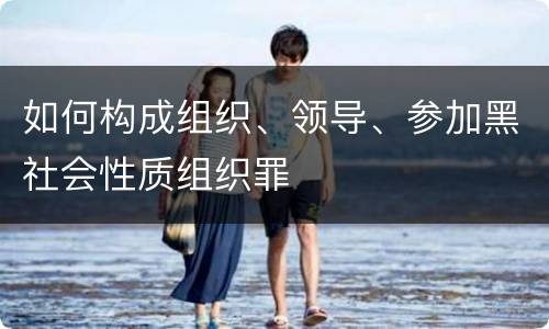 如何构成组织、领导、参加黑社会性质组织罪