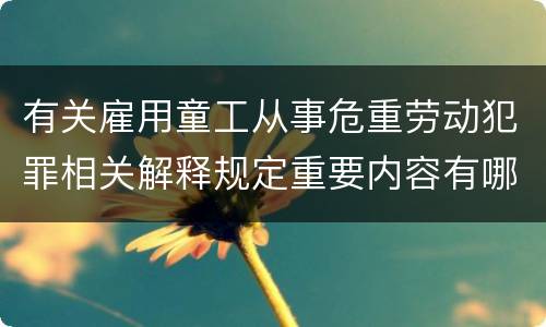 有关雇用童工从事危重劳动犯罪相关解释规定重要内容有哪些